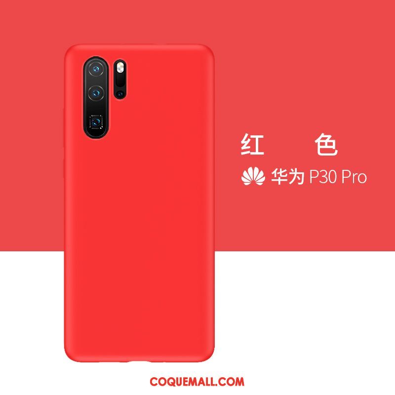 Étui Huawei P30 Pro Téléphone Portable Silicone Protection, Coque Huawei P30 Pro Incassable Gris