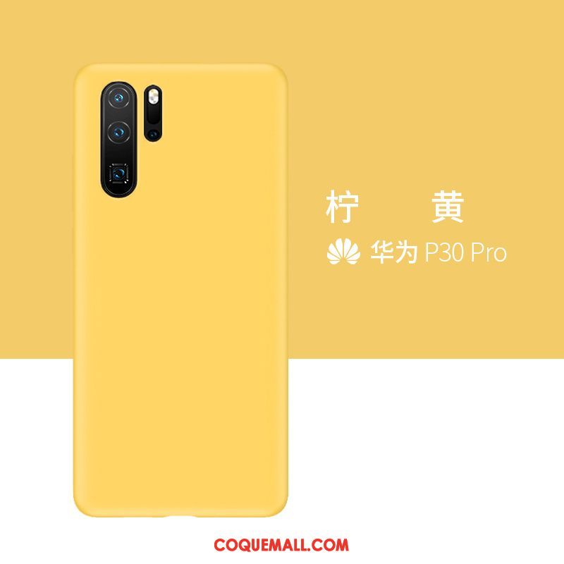 Étui Huawei P30 Pro Téléphone Portable Silicone Protection, Coque Huawei P30 Pro Incassable Gris