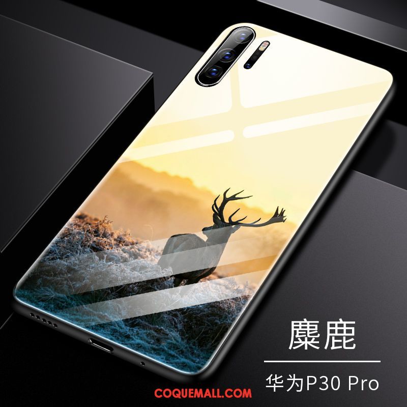 Étui Huawei P30 Pro Verre Téléphone Portable Luxe, Coque Huawei P30 Pro Tempérer Membrane