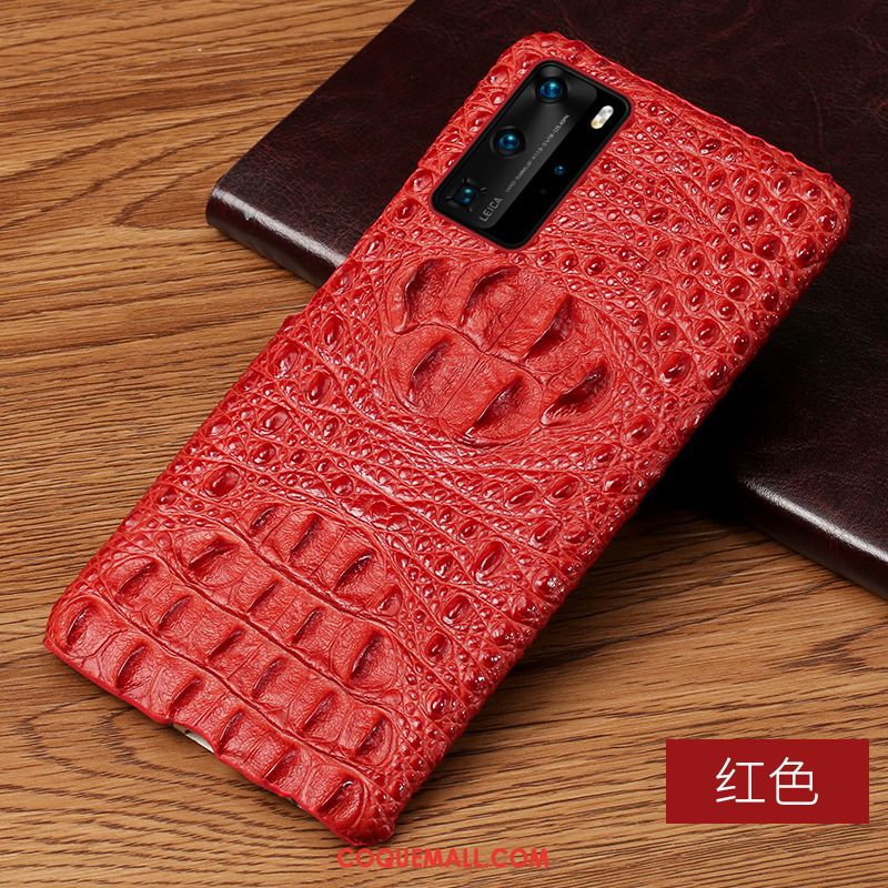 Étui Huawei P40 Pro Cuir Créatif Crocodile Modèle, Coque Huawei P40 Pro Personnalisé Personnalité