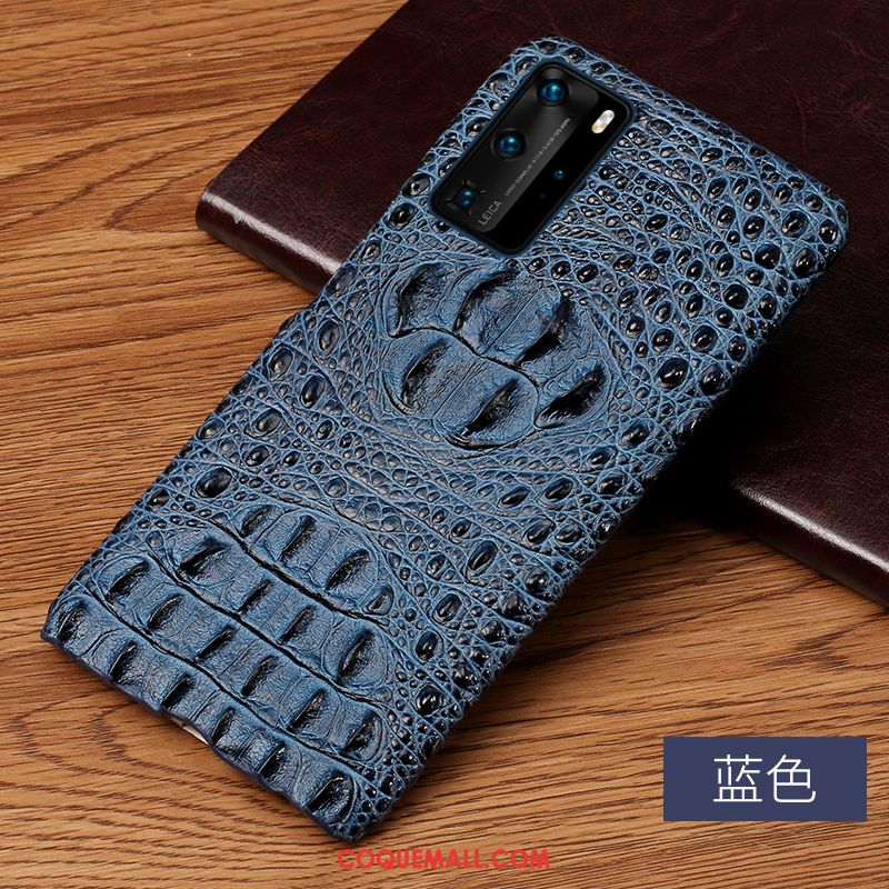 Étui Huawei P40 Pro Cuir Créatif Crocodile Modèle, Coque Huawei P40 Pro Personnalisé Personnalité