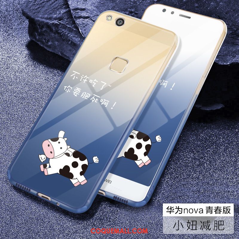 Étui Huawei P8 Lite 2017 Incassable Couvercle Arrière Petit, Coque Huawei P8 Lite 2017 Simple Mignonne