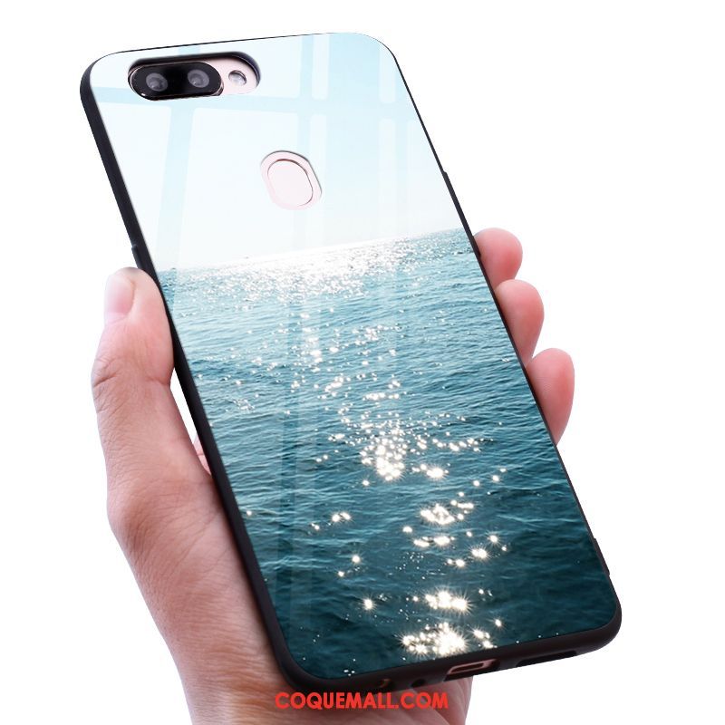 Étui Oneplus 5t Miroir Europe Vent, Coque Oneplus 5t Téléphone Portable Paysage