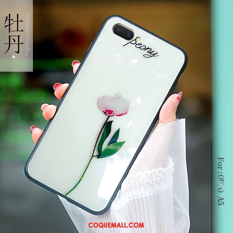 Étui Oppo A5 Tout Compris Verre Marque De Tendance, Coque Oppo A5 Protection Fluide Doux