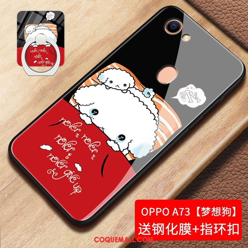 Étui Oppo A73 Personnalité Tendance Verre, Coque Oppo A73 Téléphone Portable Tout Compris