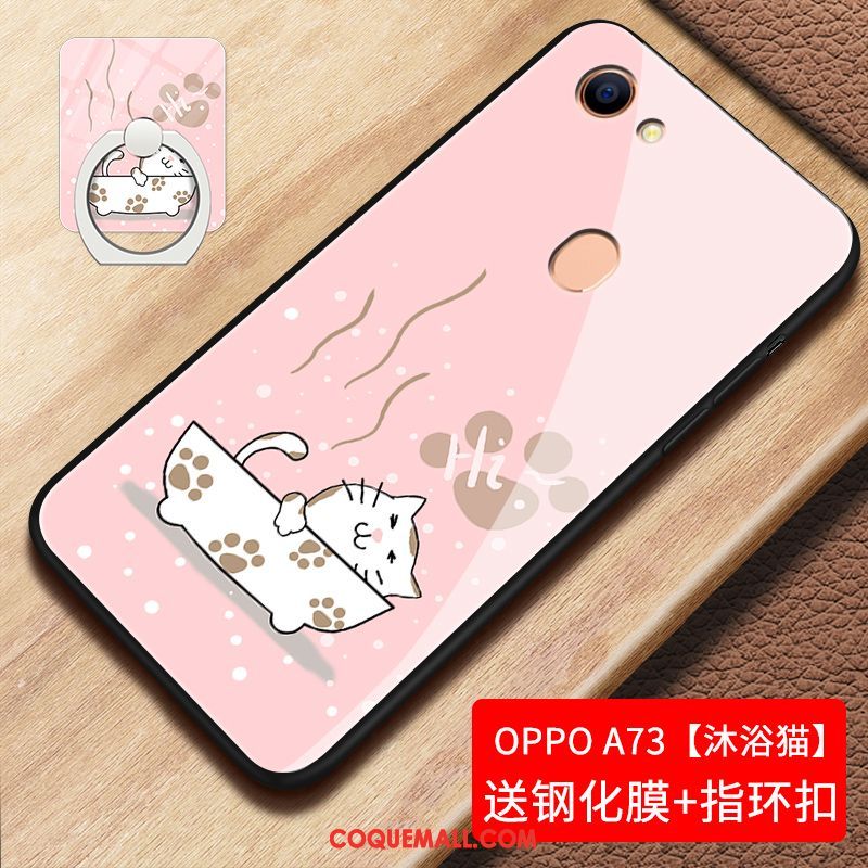 Étui Oppo A73 Personnalité Tendance Verre, Coque Oppo A73 Téléphone Portable Tout Compris