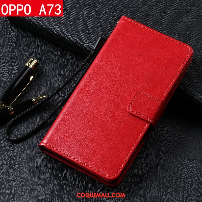 Étui Oppo A73 Téléphone Portable Étui En Cuir Incassable, Coque Oppo A73 Protection Braun