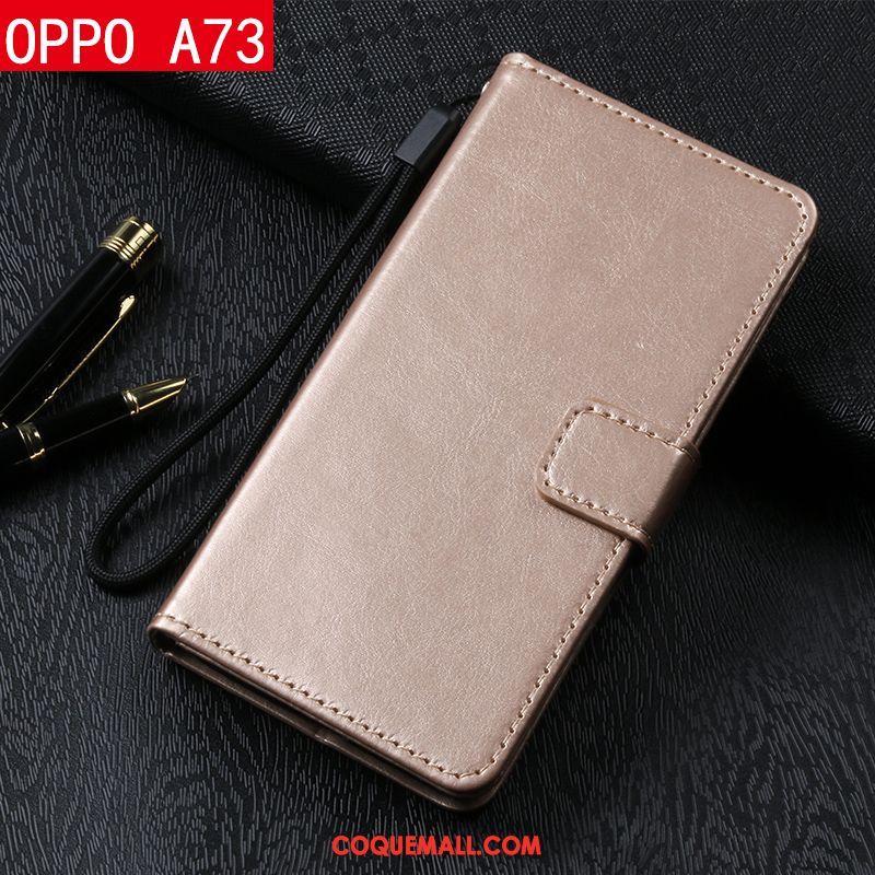 Étui Oppo A73 Téléphone Portable Étui En Cuir Incassable, Coque Oppo A73 Protection Braun