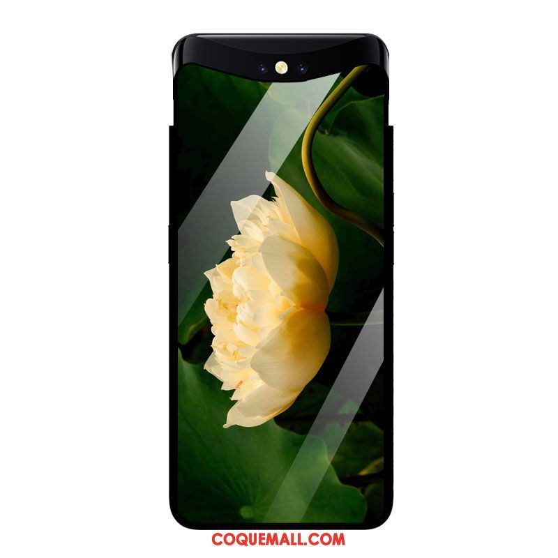 Étui Oppo Find X Style Chinois Fleurs Art, Coque Oppo Find X Vintage Verre Trempé