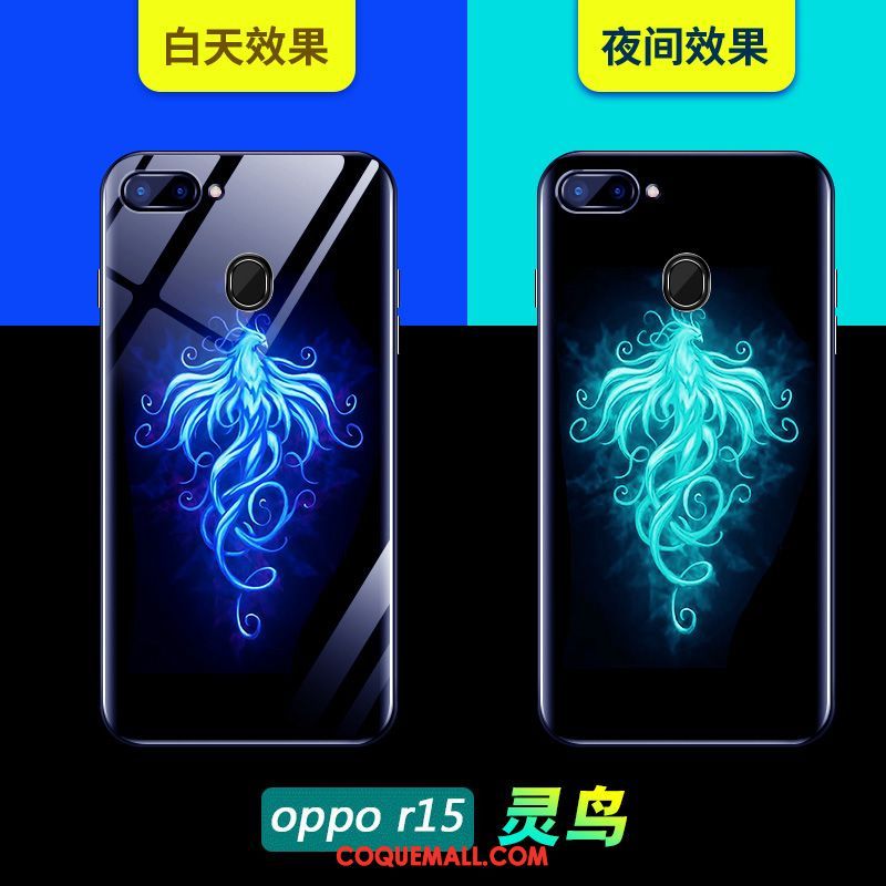 Étui Oppo R15 Charmant Tout Compris Marque De Tendance, Coque Oppo R15 Très Mince Verre