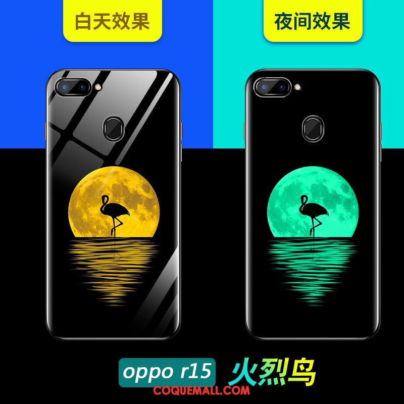 Étui Oppo R15 Charmant Tout Compris Marque De Tendance, Coque Oppo R15 Très Mince Verre