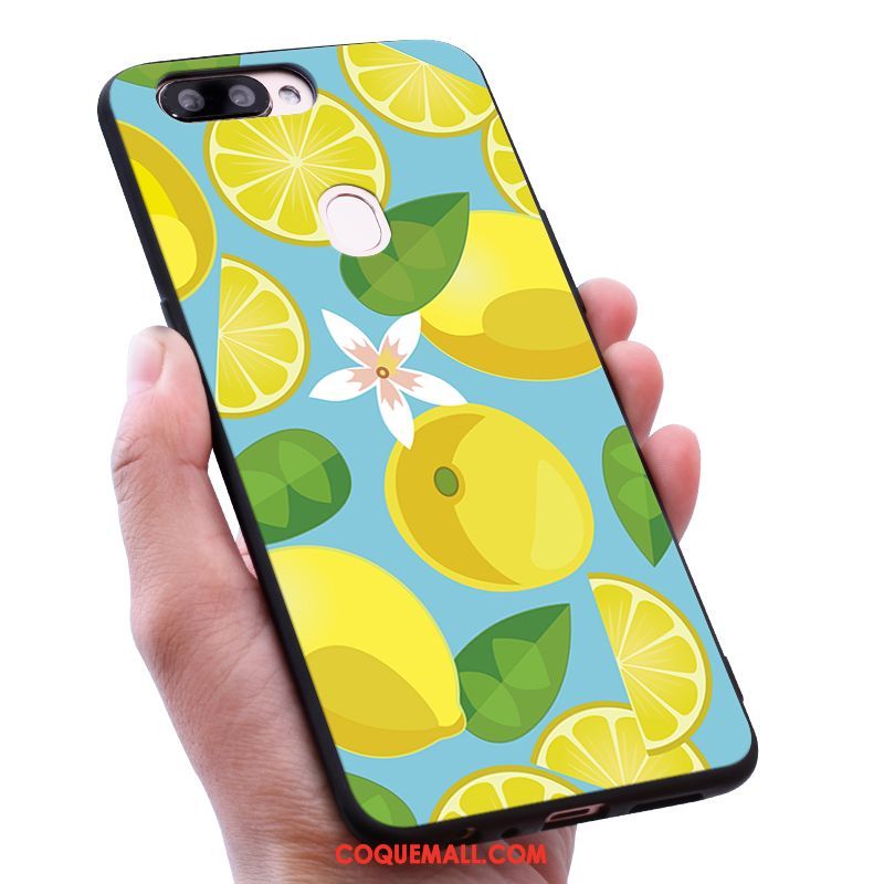 Étui Oppo R15 Pro Fluide Doux Silicone Fruit, Coque Oppo R15 Pro Petit Incassable