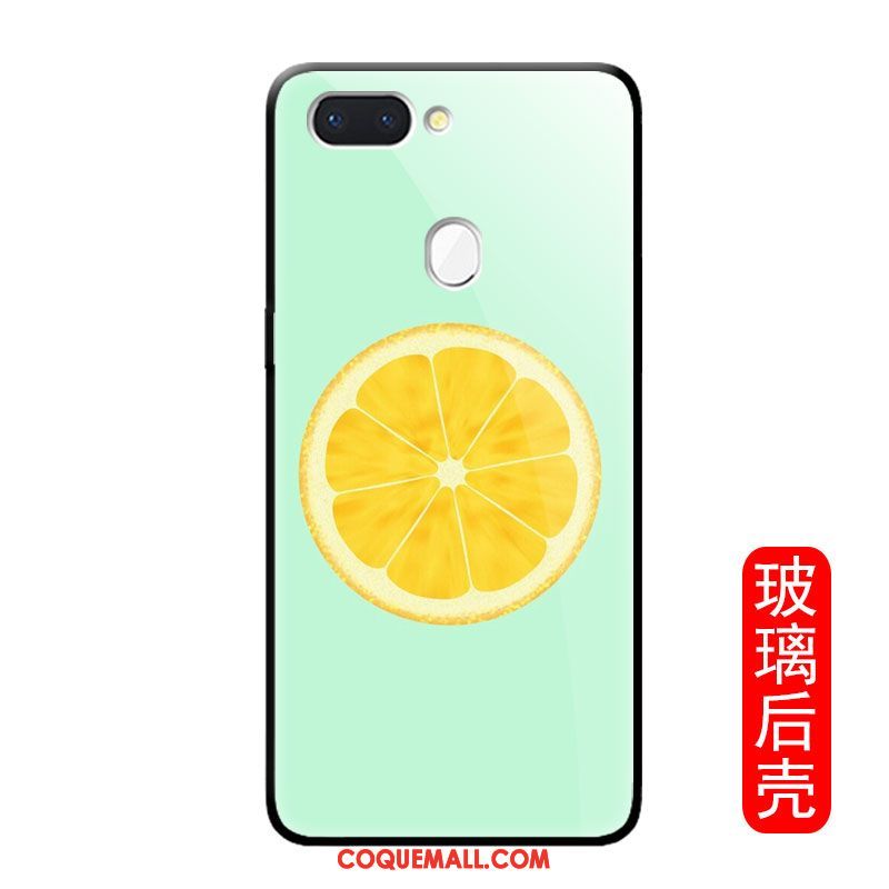 Étui Oppo R15 Pro Net Rouge Fruit Incassable, Coque Oppo R15 Pro Téléphone Portable Créatif