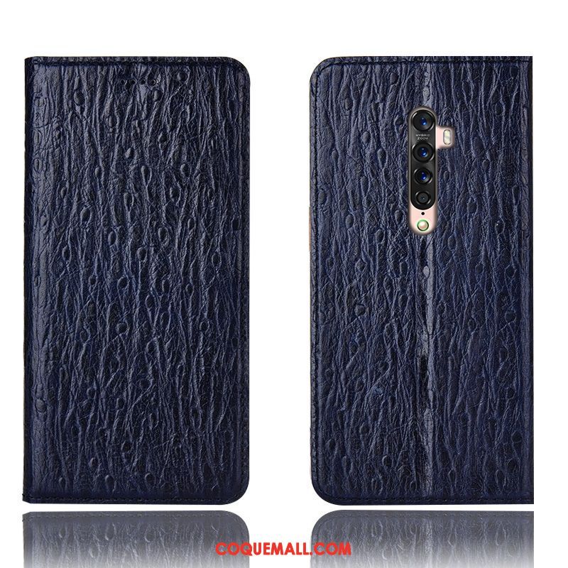 Étui Oppo Reno 2 Incassable Cuir Véritable Oiseau, Coque Oppo Reno 2 Modèle Fleurie Téléphone Portable