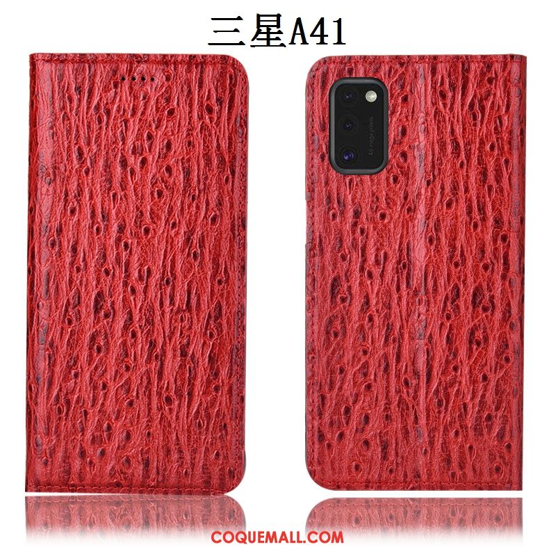 Étui Samsung Galaxy A41 Tout Compris Incassable En Cuir, Coque Samsung Galaxy A41 Étoile Protection Braun