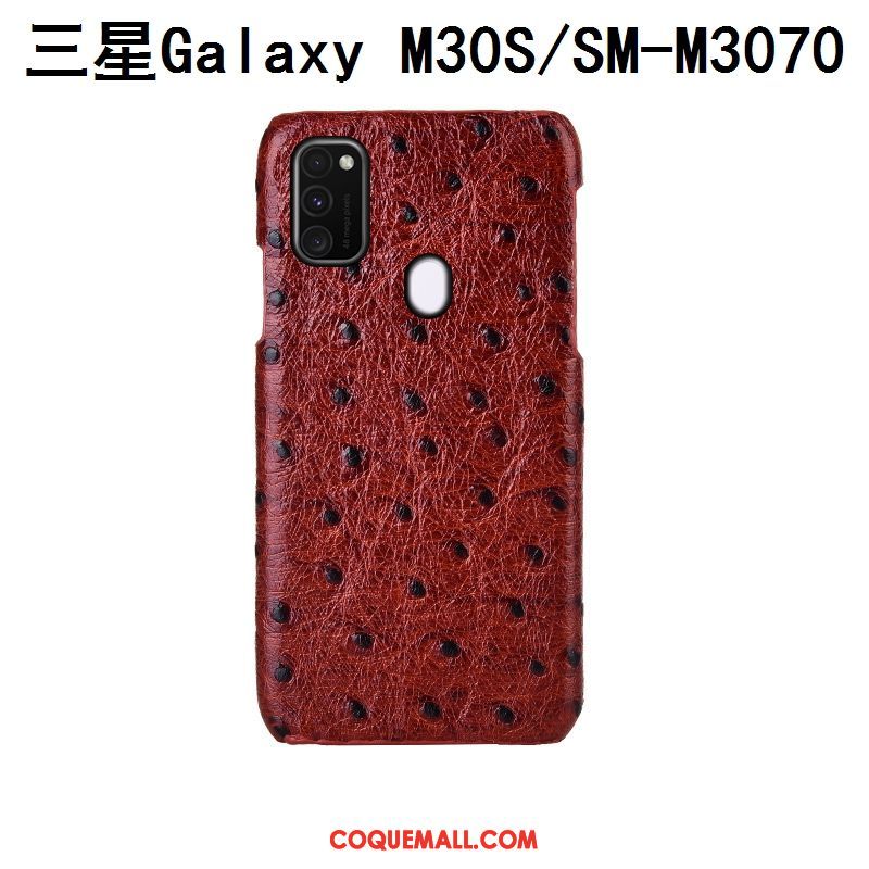 Étui Samsung Galaxy M30s Cuir Véritable Incassable Étoile, Coque Samsung Galaxy M30s Couvercle Arrière Modèle Fleurie