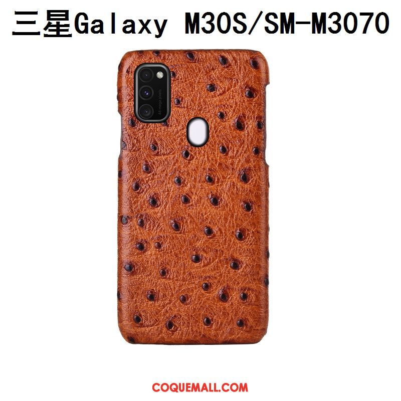 Étui Samsung Galaxy M30s Cuir Véritable Incassable Étoile, Coque Samsung Galaxy M30s Couvercle Arrière Modèle Fleurie