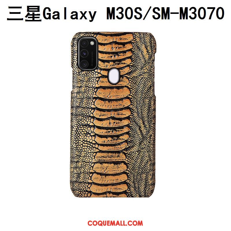 Étui Samsung Galaxy M30s Mode Bleu Étoile, Coque Samsung Galaxy M30s Incassable Luxe