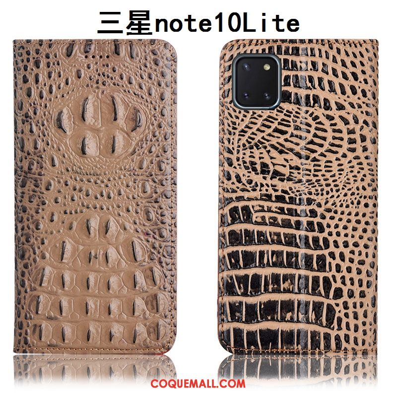 Étui Samsung Galaxy Note 10 Lite Noir En Cuir Téléphone Portable, Coque Samsung Galaxy Note 10 Lite Tout Compris Modèle Fleurie