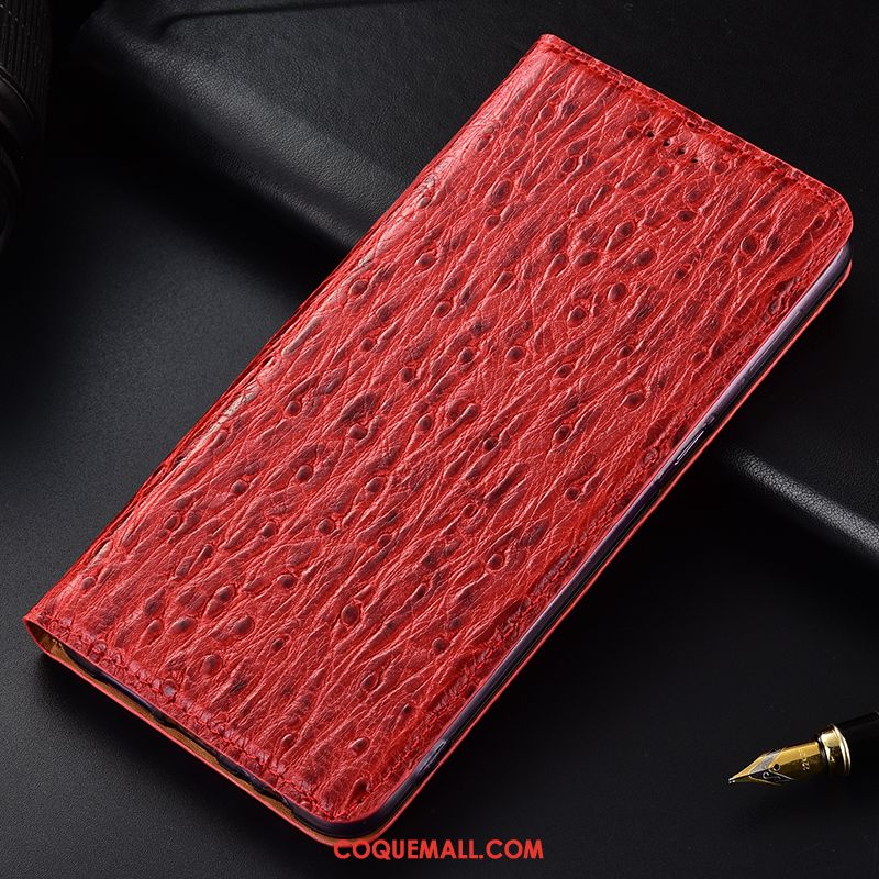 Étui Samsung Galaxy Note 10+ Téléphone Portable Rouge Étoile, Coque Samsung Galaxy Note 10+ Tout Compris Oiseau