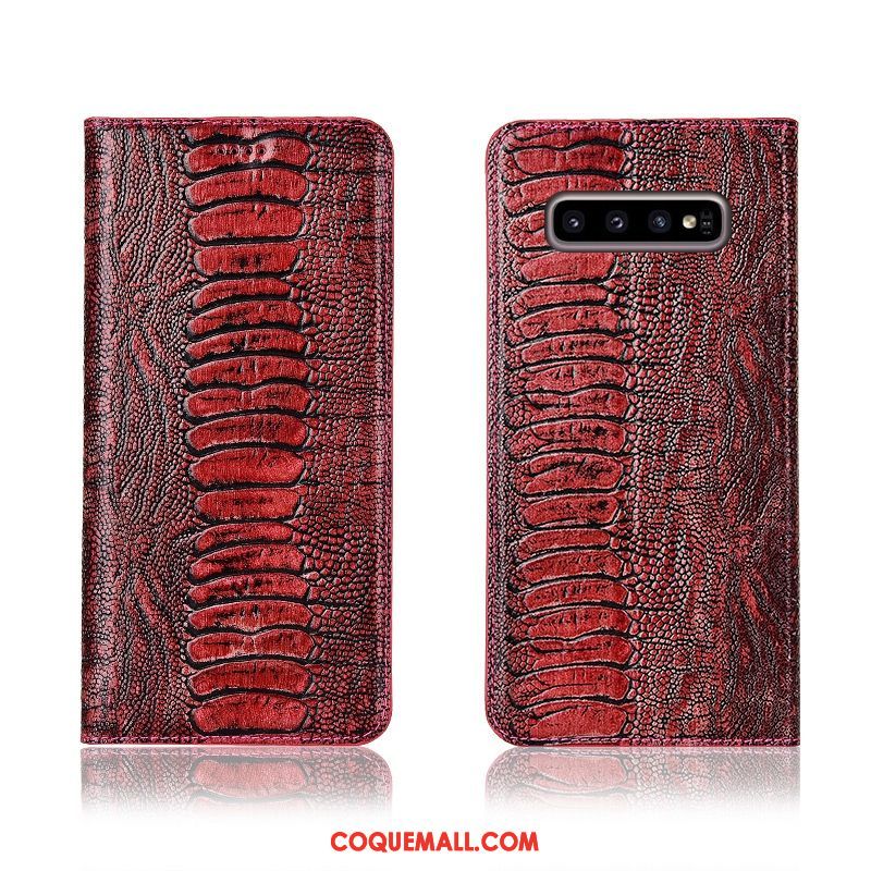 Étui Samsung Galaxy S10+ En Cuir Fluide Doux Protection, Coque Samsung Galaxy S10+ Incassable Tout Compris