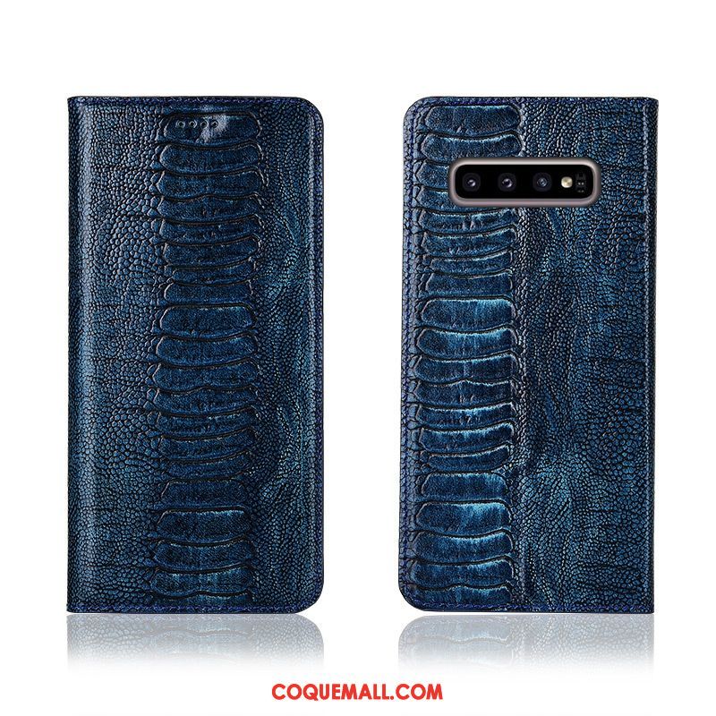 Étui Samsung Galaxy S10+ En Cuir Fluide Doux Protection, Coque Samsung Galaxy S10+ Incassable Tout Compris