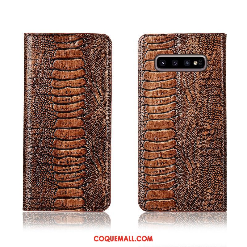 Étui Samsung Galaxy S10+ En Cuir Fluide Doux Protection, Coque Samsung Galaxy S10+ Incassable Tout Compris