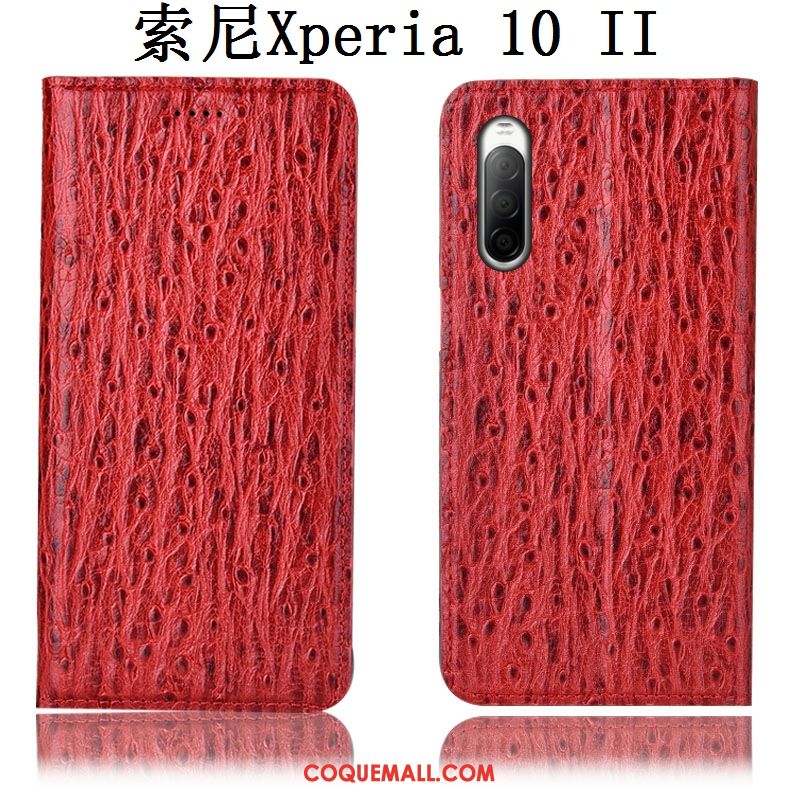 Étui Sony Xperia 10 Ii Modèle Fleurie Oiseau Tout Compris, Coque Sony Xperia 10 Ii Incassable Cuir Véritable Braun