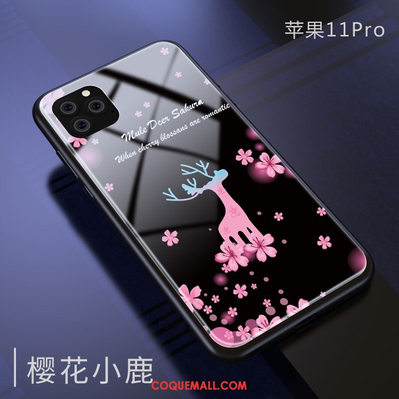 Étui iPhone 11 Pro Marque De Tendance Silicone Tout Compris, Coque iPhone 11 Pro Beau Verre