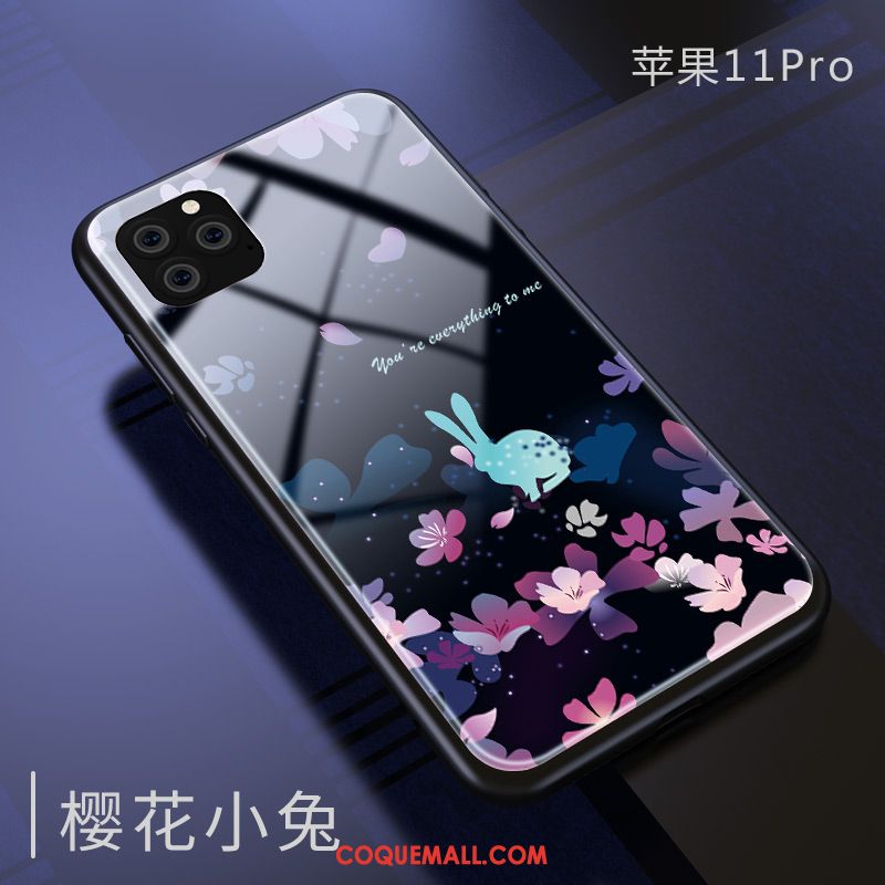 Étui iPhone 11 Pro Marque De Tendance Silicone Tout Compris, Coque iPhone 11 Pro Beau Verre