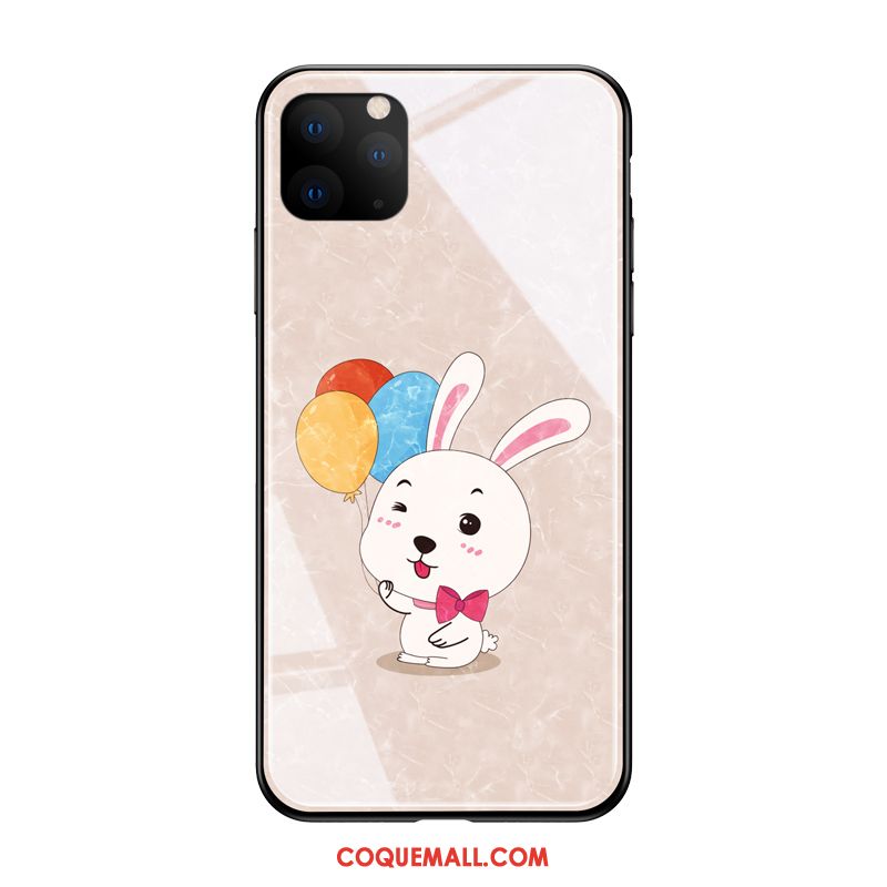 Étui iPhone 11 Pro Max Charmant Tout Compris Silicone, Coque iPhone 11 Pro Max Verre Tendance