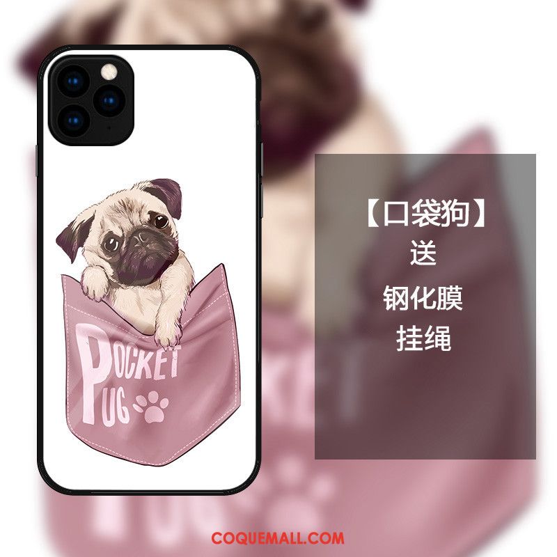 Étui iPhone 11 Pro Max Dessin Animé Téléphone Portable Protection, Coque iPhone 11 Pro Max Tout Compris Incassable