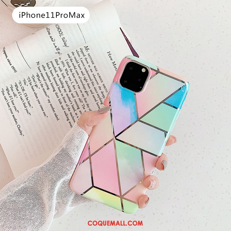 Étui iPhone 11 Pro Max Grand Tout Compris Bleu, Coque iPhone 11 Pro Max Fluide Doux Rose