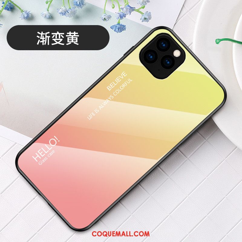 Étui iPhone 11 Pro Max Incassable Mode Tendance, Coque iPhone 11 Pro Max Dégradé Simple