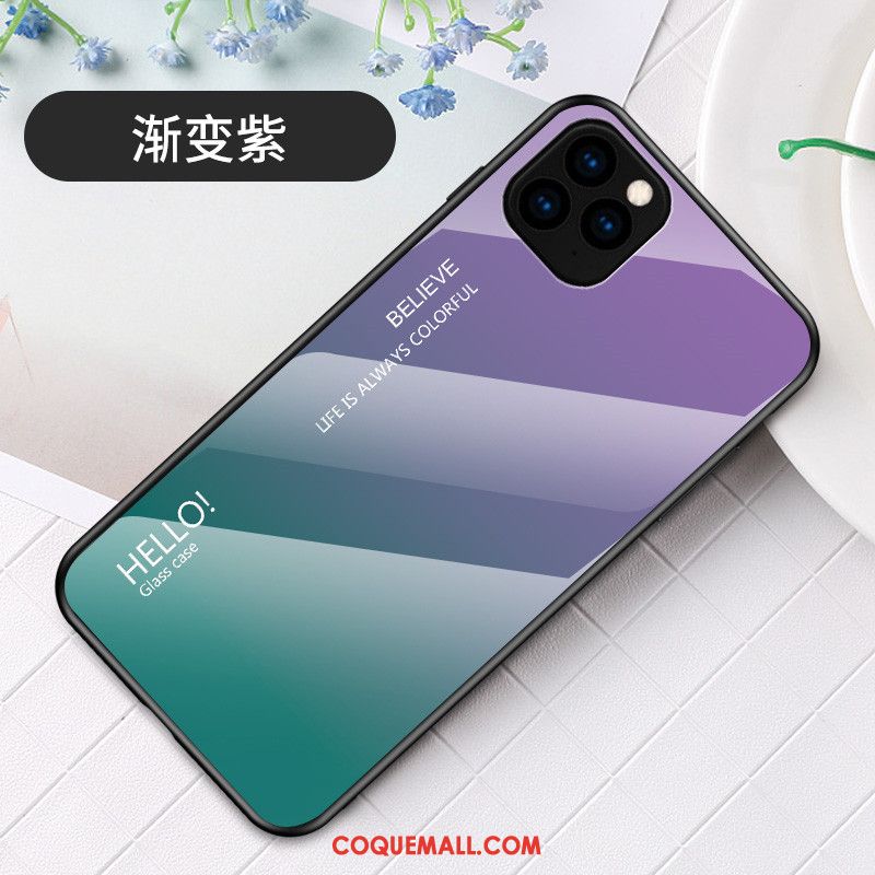 Étui iPhone 11 Pro Max Incassable Mode Tendance, Coque iPhone 11 Pro Max Dégradé Simple