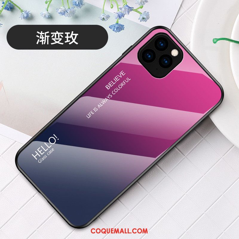 Étui iPhone 11 Pro Max Incassable Mode Tendance, Coque iPhone 11 Pro Max Dégradé Simple