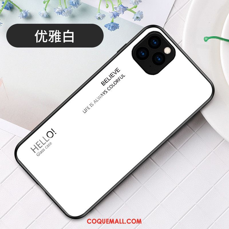 Étui iPhone 11 Pro Max Incassable Mode Tendance, Coque iPhone 11 Pro Max Dégradé Simple