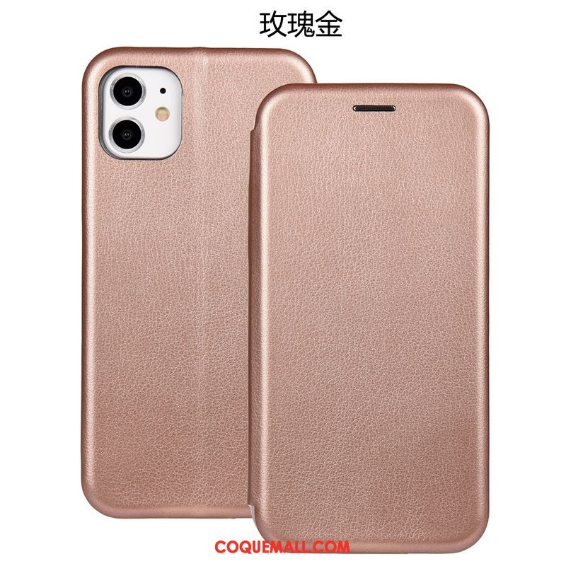 Étui iPhone 11 Protection Tout Compris Clamshell, Coque iPhone 11 En Cuir Silicone