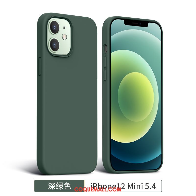 Étui iPhone 12 Mini Créatif Tout Compris Tendance, Coque iPhone 12 Mini Incassable Téléphone Portable