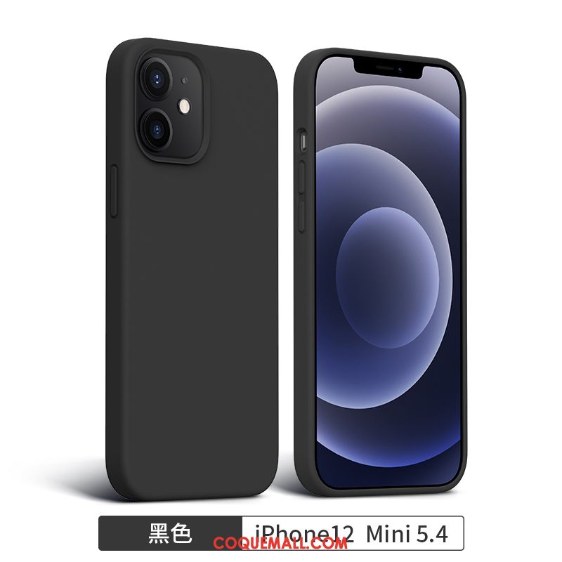 Étui iPhone 12 Mini Créatif Tout Compris Tendance, Coque iPhone 12 Mini Incassable Téléphone Portable