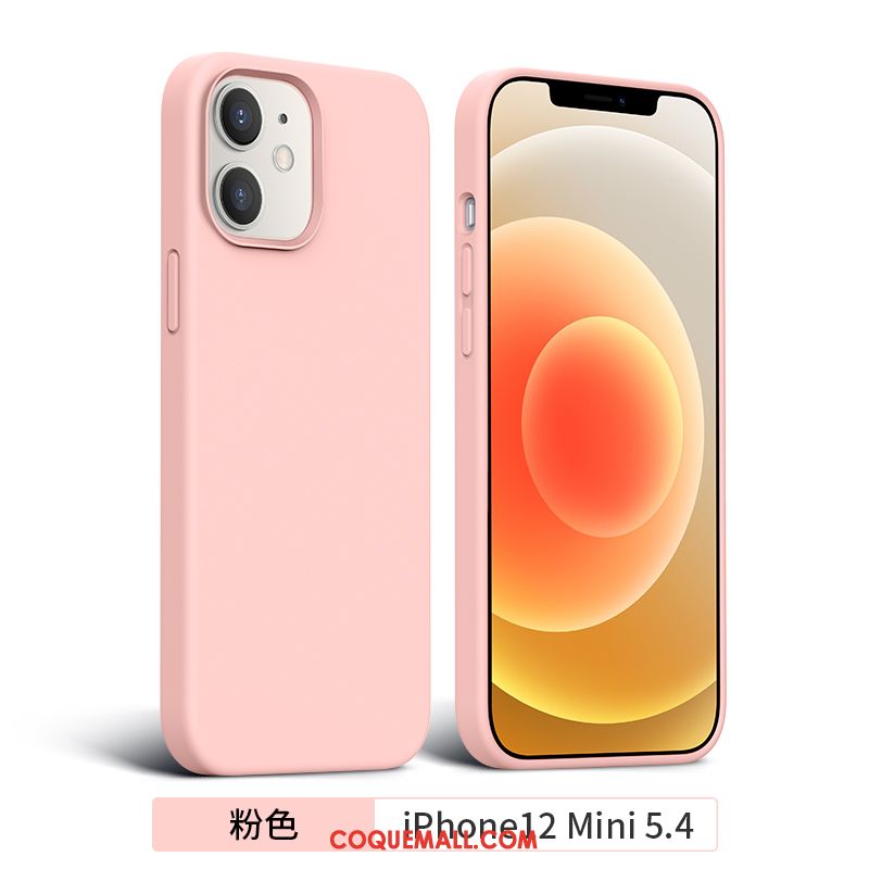 Étui iPhone 12 Mini Créatif Tout Compris Tendance, Coque iPhone 12 Mini Incassable Téléphone Portable