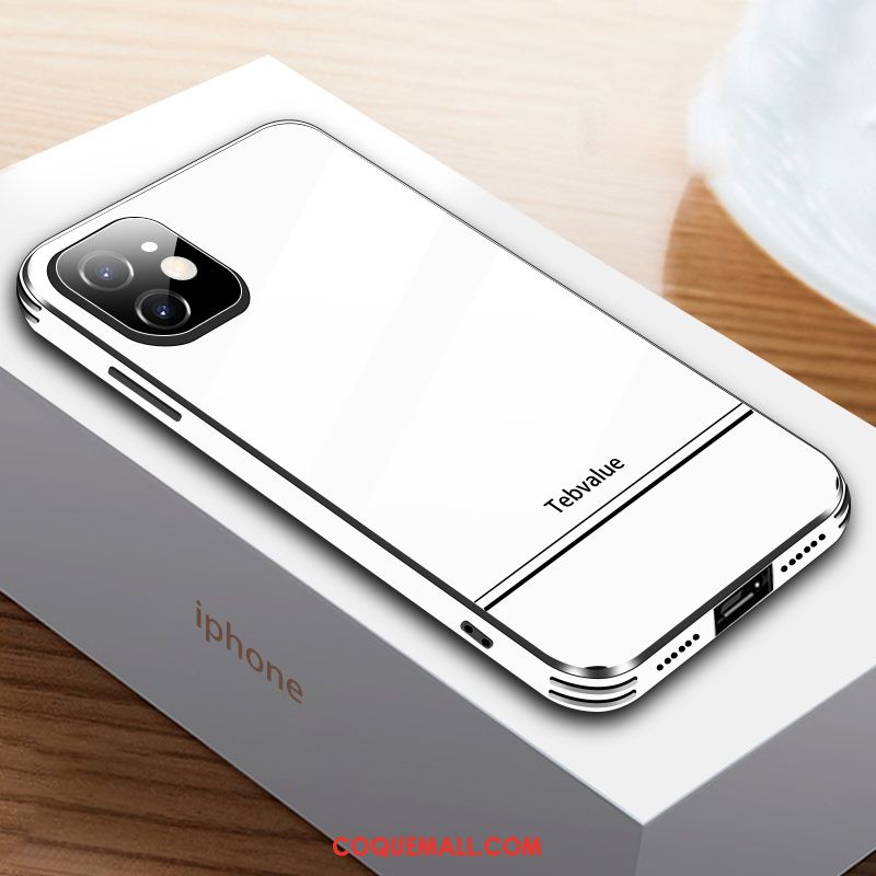 Étui iPhone 12 Mini Incassable Tout Compris Nouveau, Coque iPhone 12 Mini Verre Personnalité