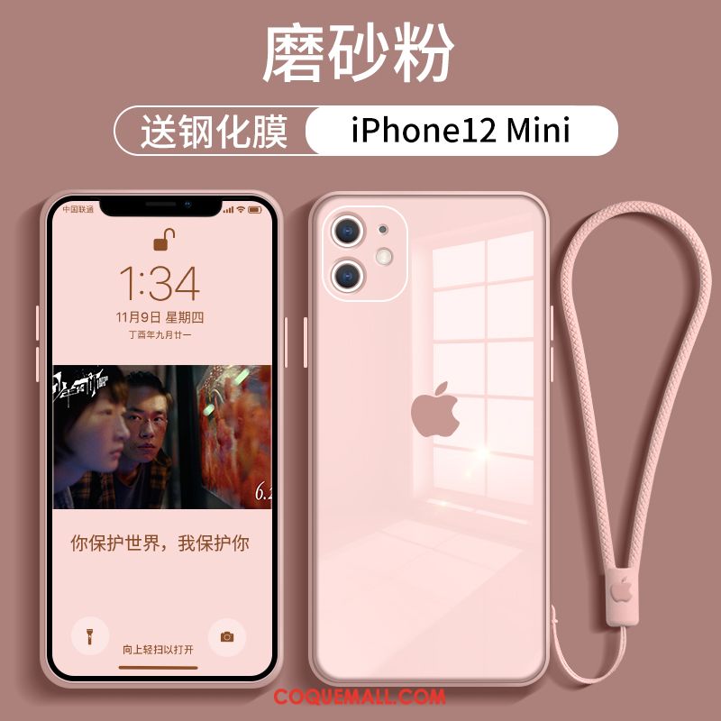 Étui iPhone 12 Mini Marque De Tendance Verre Nouveau, Coque iPhone 12 Mini Tout Compris Net Rouge