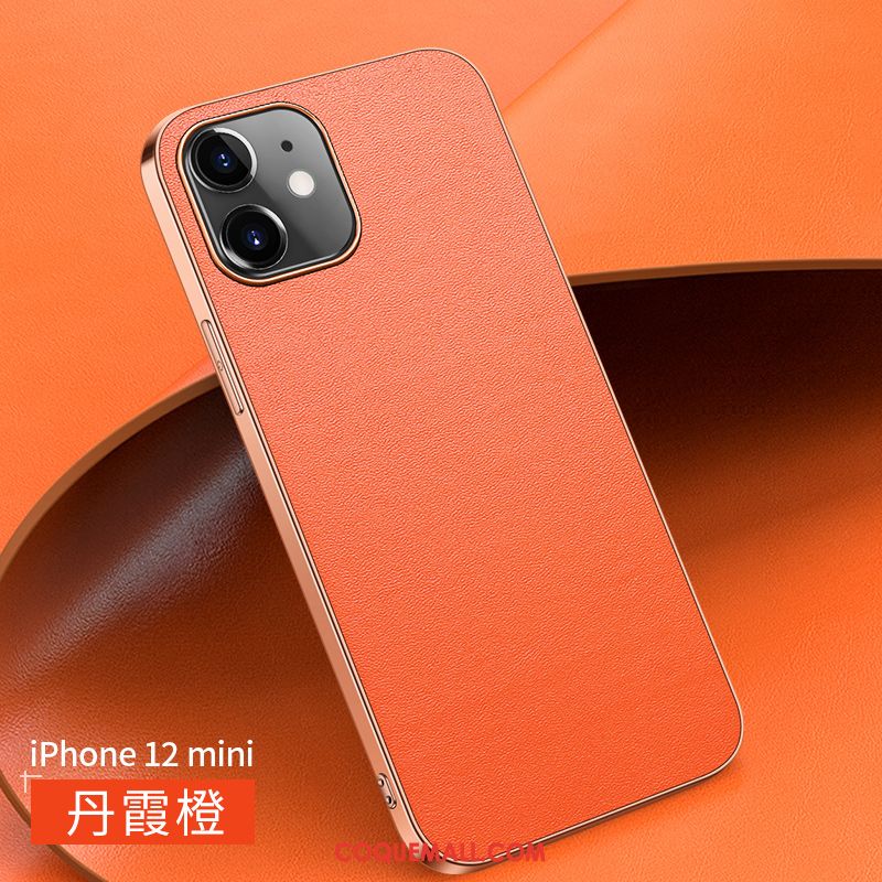 Étui iPhone 12 Mini Net Rouge Nouveau Luxe, Coque iPhone 12 Mini Tout Compris Très Mince