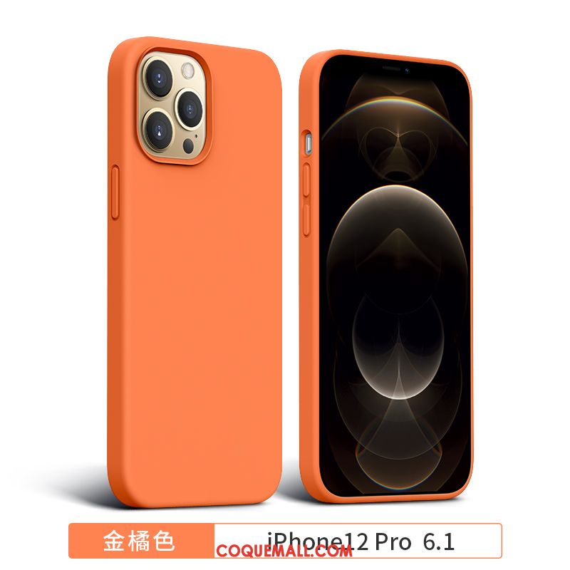 Étui iPhone 12 Pro Incassable Protection Silicone, Coque iPhone 12 Pro Tout Compris Marque De Tendance