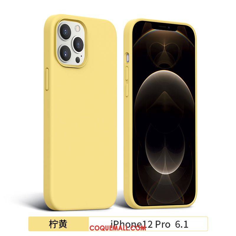 Étui iPhone 12 Pro Incassable Protection Silicone, Coque iPhone 12 Pro Tout Compris Marque De Tendance