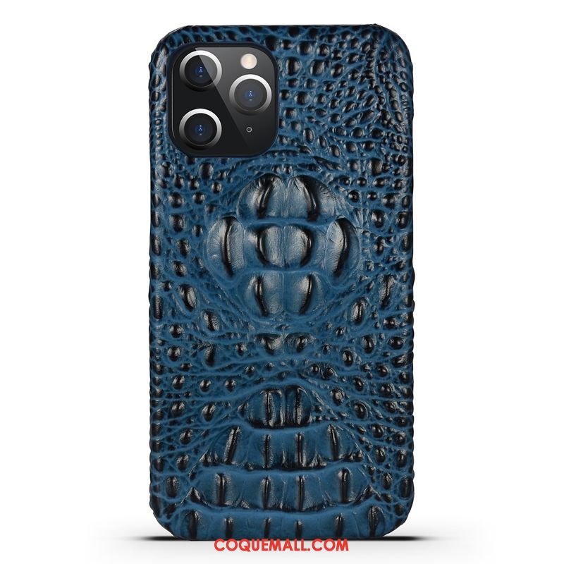 Étui iPhone 12 Pro Max Très Mince Bovins Protection, Coque iPhone 12 Pro Max Tendance Tout Compris