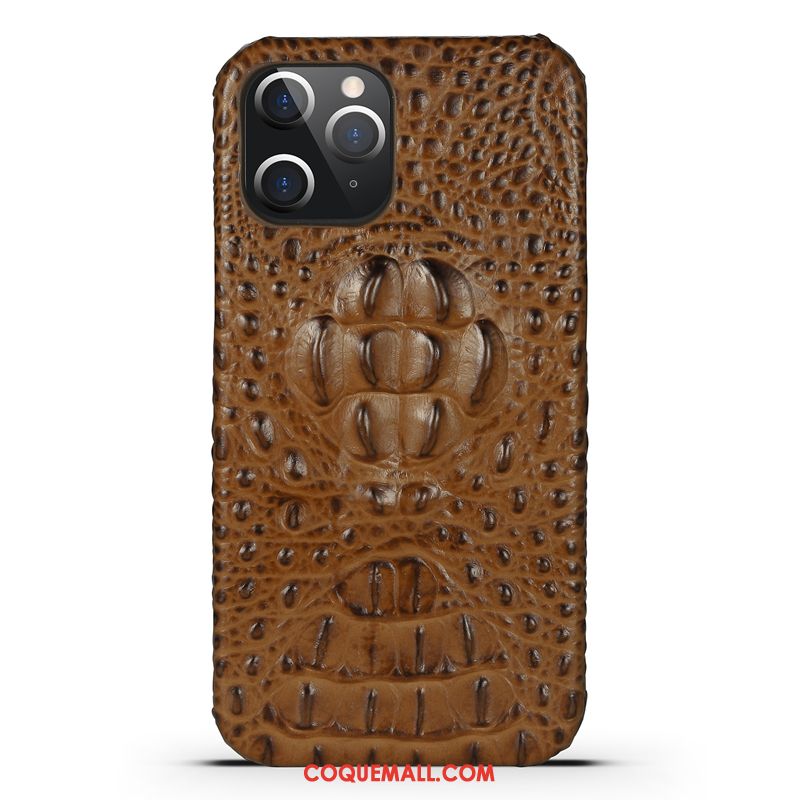 Étui iPhone 12 Pro Max Très Mince Bovins Protection, Coque iPhone 12 Pro Max Tendance Tout Compris