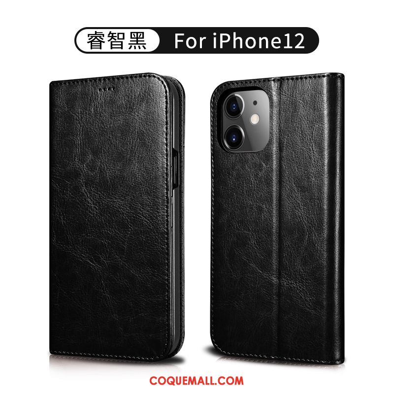 Étui iPhone 12 Protection Portefeuille Incassable, Coque iPhone 12 Tout Compris Cuir Véritable Braun