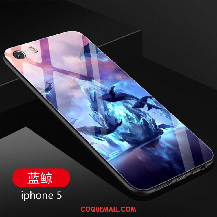 Étui iPhone 5 / 5s Couvercle Arrière Dessin Animé Fluide Doux, Coque iPhone 5 / 5s Verre Marque De Tendance